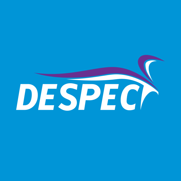 Despec Bilgisayar Pazarlama ve Ticaret A.Ş. logo