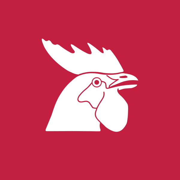 Horoz Lojistik Kargo Hizmetleri ve Ticaret A.Ş. logo
