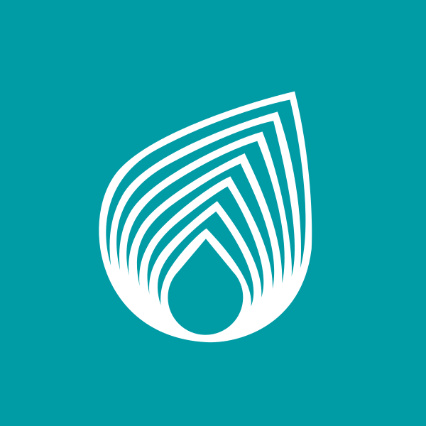 Netaş Telekomünikasyon A.Ş. logo