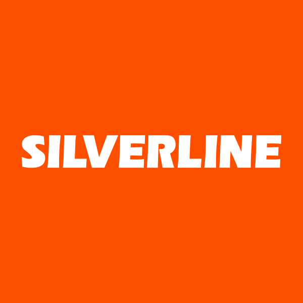 Silverline Endüstri ve Ticaret A.Ş. logo